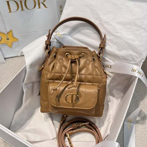 디* 카로 버킷백 미니