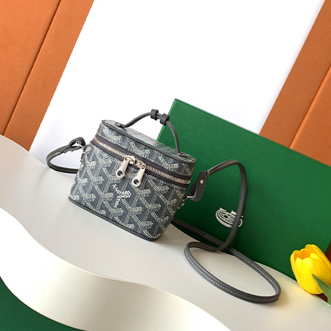 고야드 뮤즈 베니티 나노백